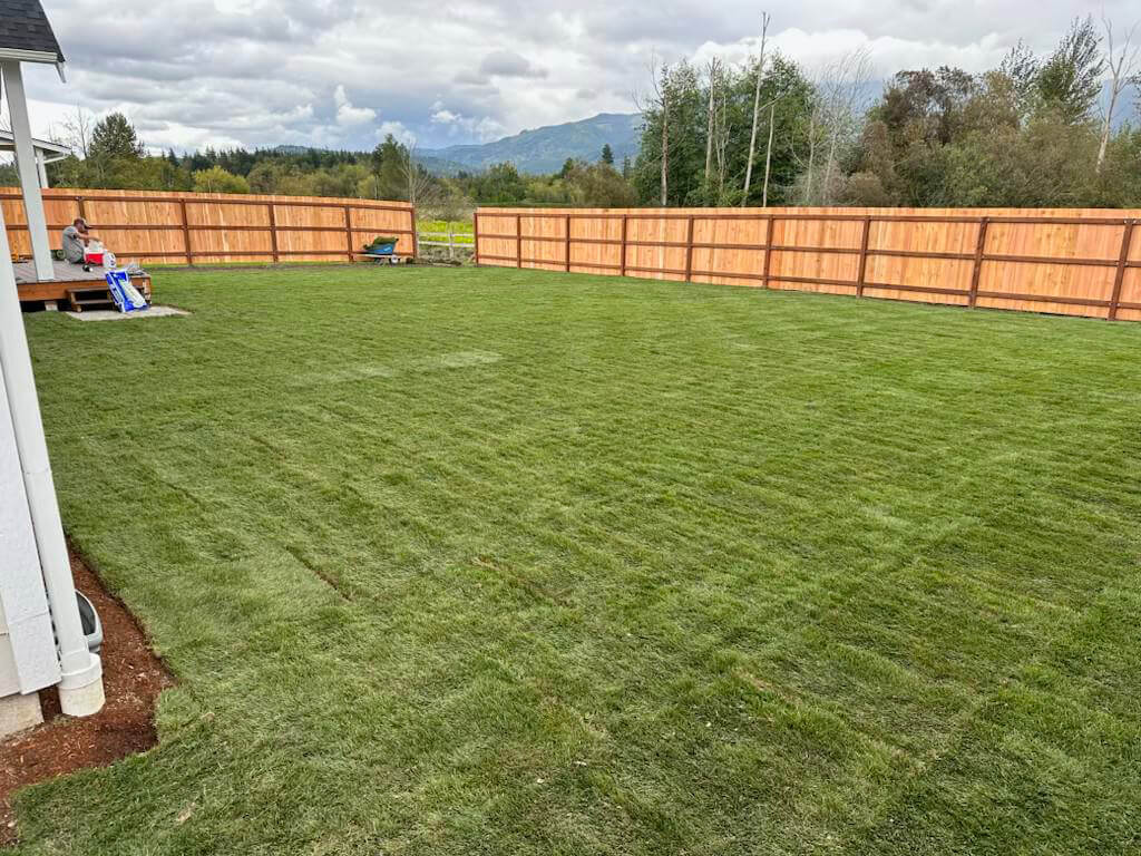 Lawn Care before